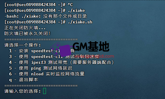 555.jpg